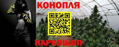 стаф Будённовск