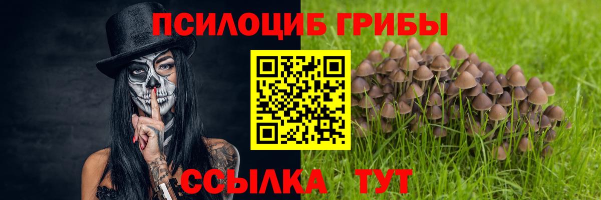 Псилоцибиновые грибы прущие грибы  Вход с VPN  Новокуйбышевск 